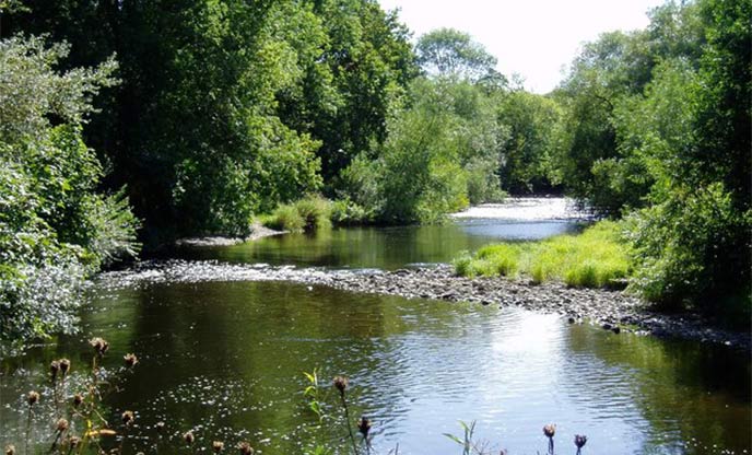 The Severn River running through lush greenery