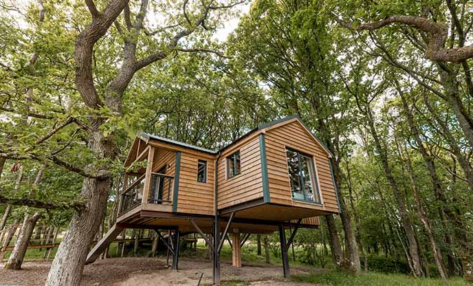 Ty Coedwig Treehouse, Unique Hideaways