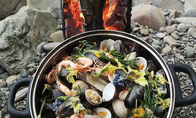 An array of foraged shells and food from the coast of Carmarthenshire