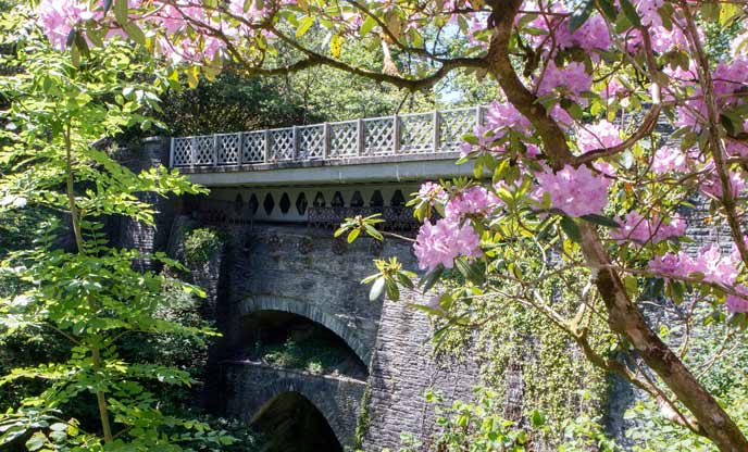 The bridge at Devils Bridge Falls in Ceredigion in the spring sunshine