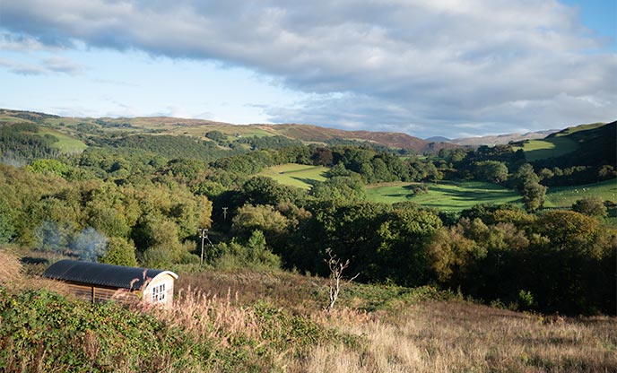Ffion, a shepherd's hut, nestled in a meadow with a stunning view of the Welsh mountains