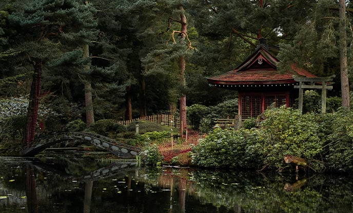 The beautiful Japanese Garden at Tatton Park with the sculptures and plants reflecting in the water