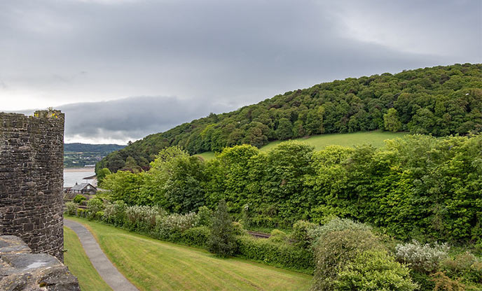 View of woodland from Conwy town walls