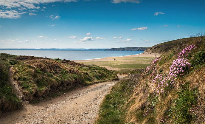 Looking down a hedge-lined path at the sandy beach at Loe Bar in Cornwall