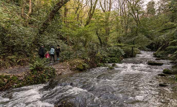 People walking past a flowing river in the woodlands around St Nectan's Glen in Cornwall