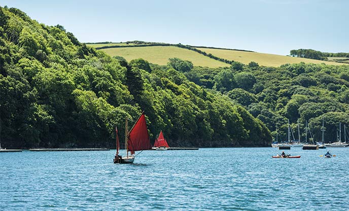 Kayaking along the River Fowey surrounded by blue water and lush green meadows