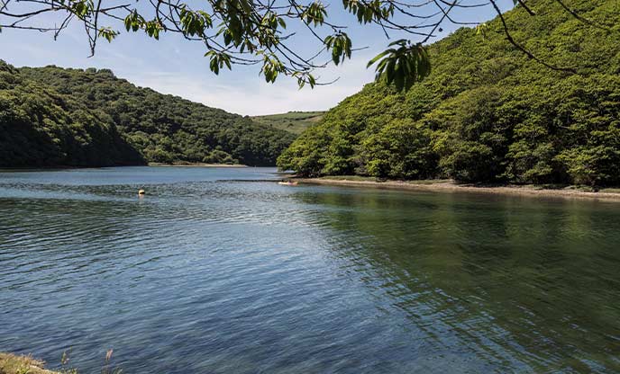 Kayaks paddling down Looe River with beautiful tree-lined banks behind them