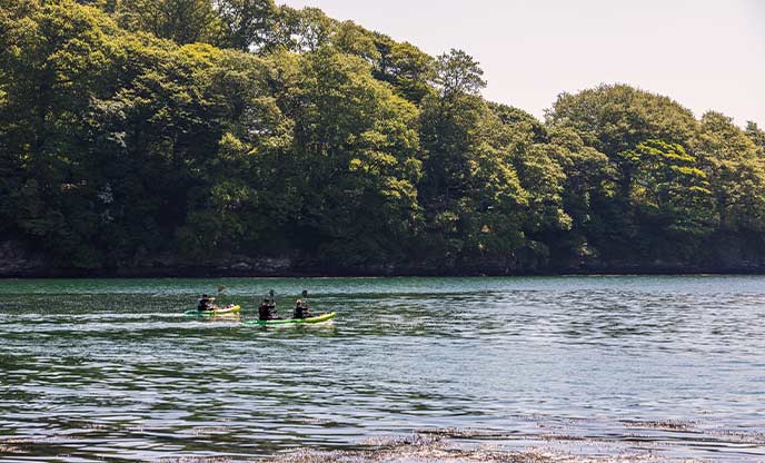 Three people kayaking along the river at Trelissick near Truro and Falmouth in Cornwall