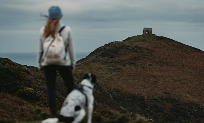 A person walking their dog along the cliffs