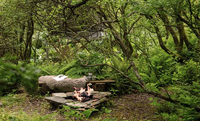 A stone fire pit in Cornish woodland with a treehouse in the background