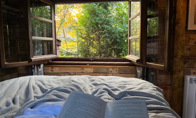 Reading a book while in bed looking through a large window at autumn leaves