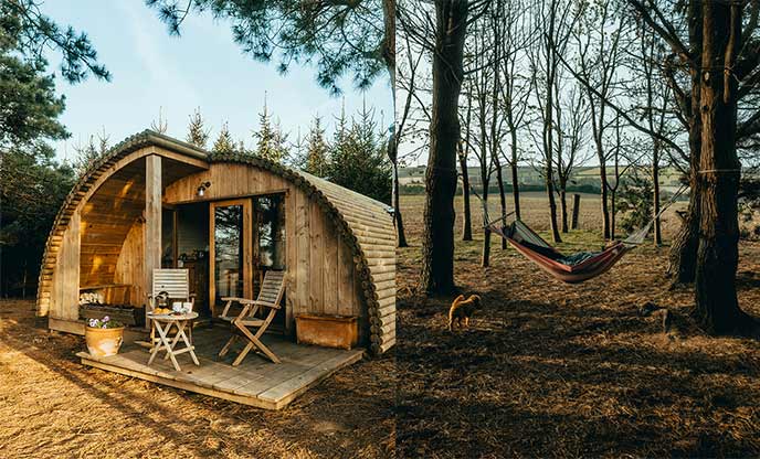 Cabin nestled amongst woodland in Cornwall