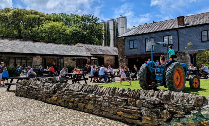 Sunny day in the courtyard at Healey's Cyder Farm in Cornwall