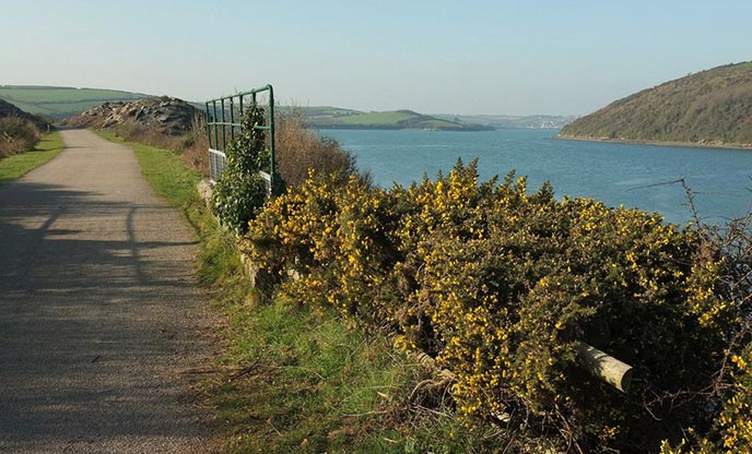 A view of the Camel Trail with Padstow in the distance