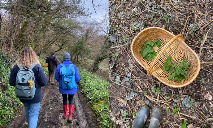 Woodland foraging with 7th Rise