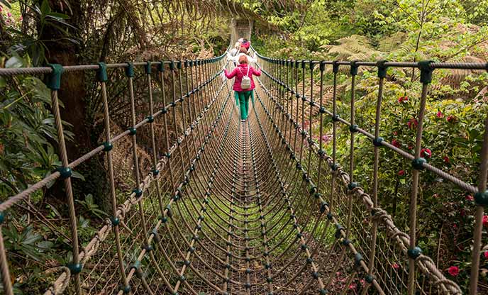 Brave visitors walk across the impressive rope bridge at the Lost Gardens of Heligan