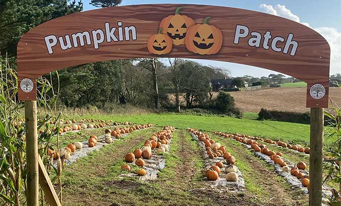 Pumpkin patch sign at Lobbs Autumn Fest, St Austell