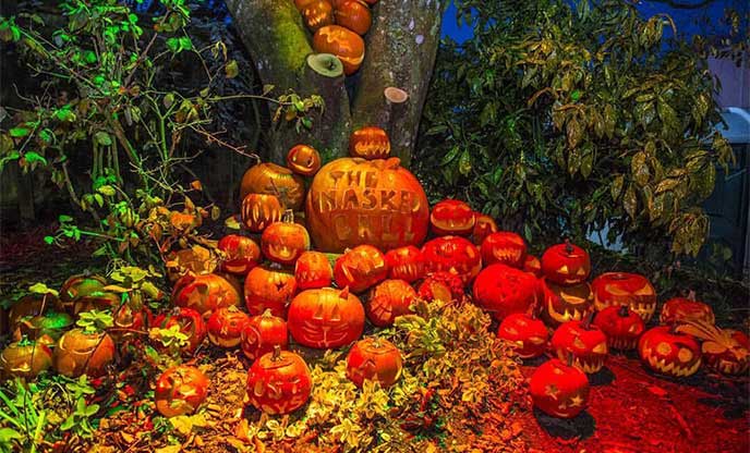 Stack of pumpkins at the Halloween Masked Ball, Flambards 