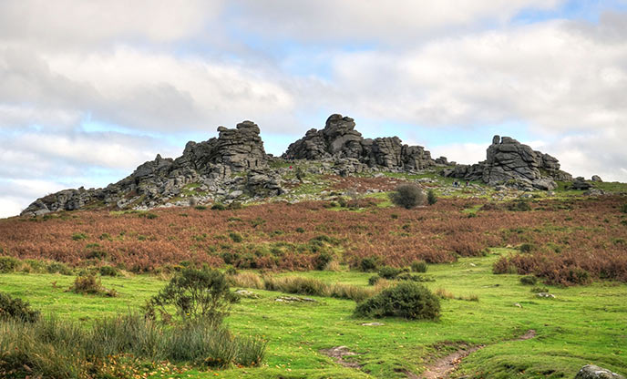 Looking up towards Hound Tor on a cloudy day