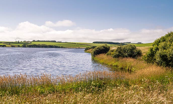 Waterside scenery in the Tamar Valley