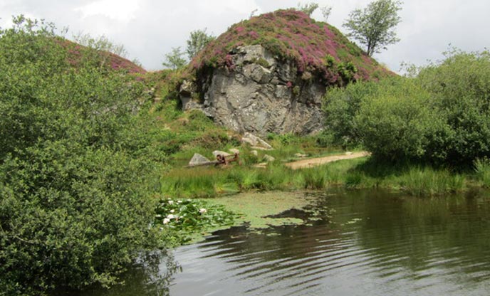 The still water of Haytor Quarry Pool, surrounded by greenery with rocks in the background