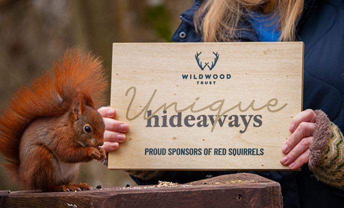 Unique hideaways sponsors Wildwood Devon