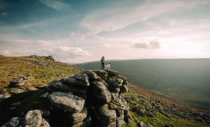 Things to do in Dartmoor