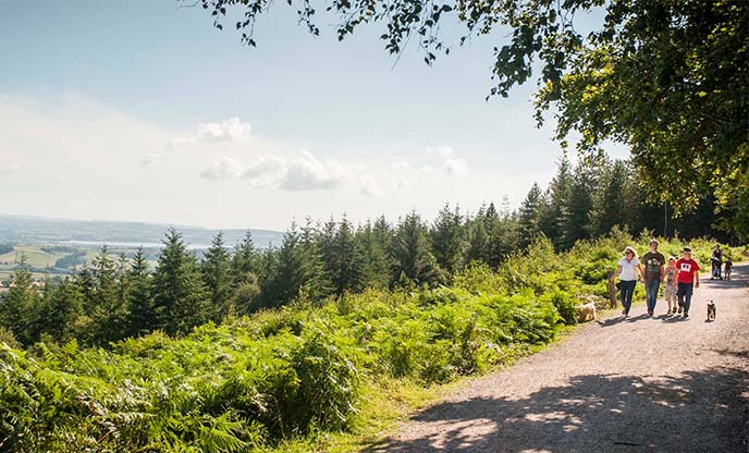 People with their dogs walk along the path at Haldon Forest Park with the incredible views stretching out before them
