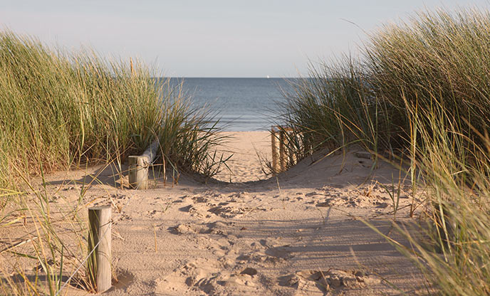 Sandy beaches in Dorset