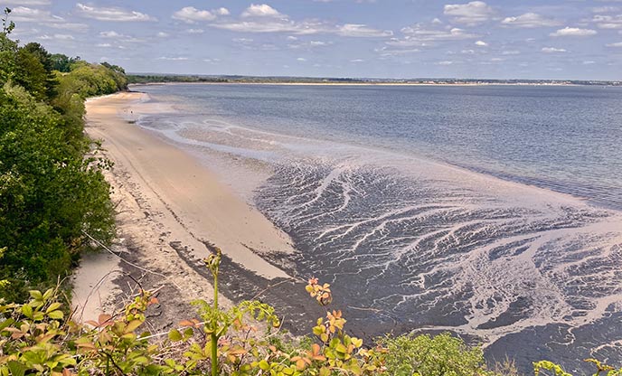 Knoll Beach within Studland Bay, Dorset