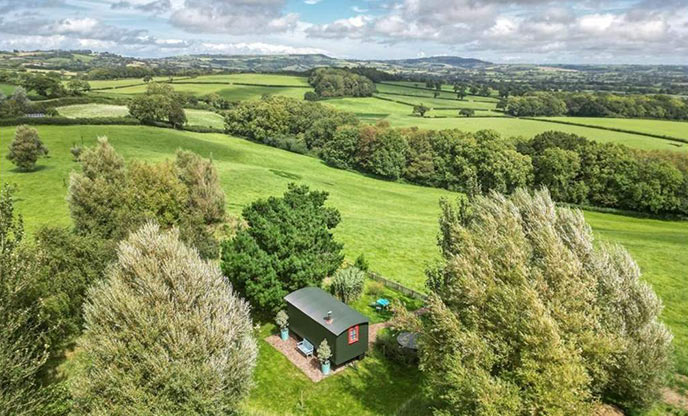 Toby's Hut nestled between the trees in Dorset