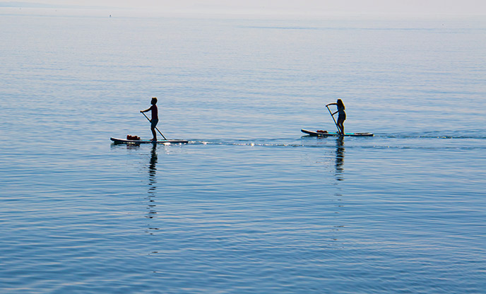 Two paddleboarders on the sea in Dorset