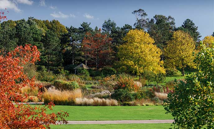 Autumnal colours appear at RHS Garden Hyde Hall