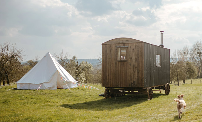Dog friendly glamping in Herefordshire