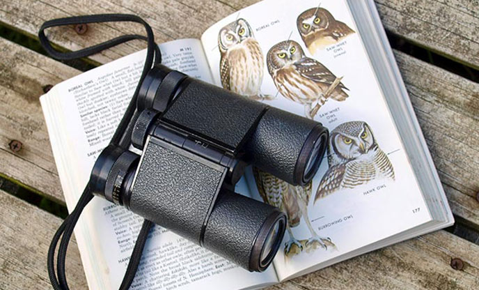 A pair of binoculars laid on top of a bird identification book