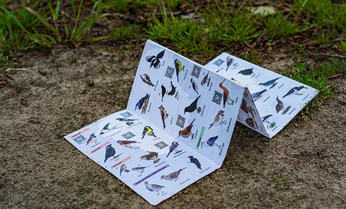 A pamphlet showing different species of birds