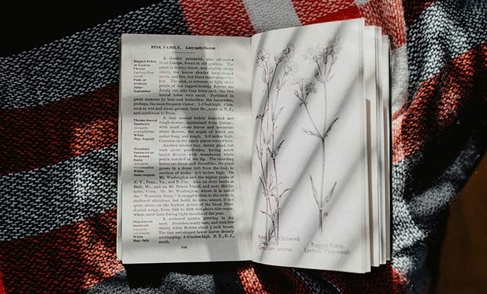 An open wildflower guide book on a checked blanket