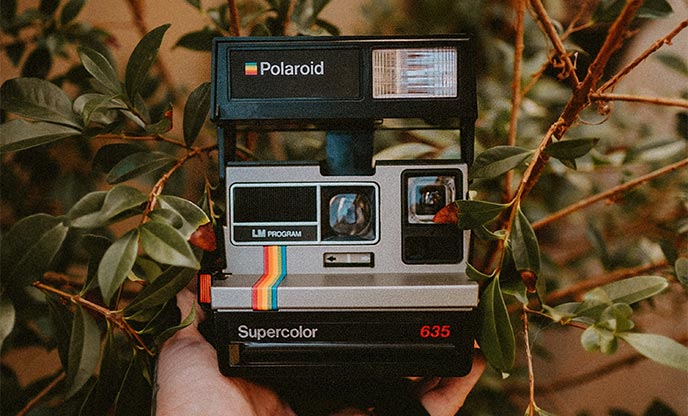 Polaroid camera in nature