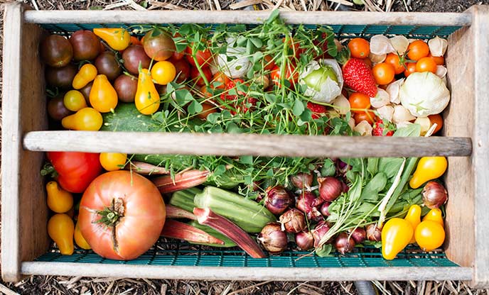 An array of seasonal fruit and veg in a basket