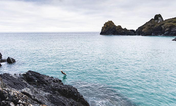 Diving of rocks into the crystal blue sea at The Lizard in Cornwall on a cloudy day
