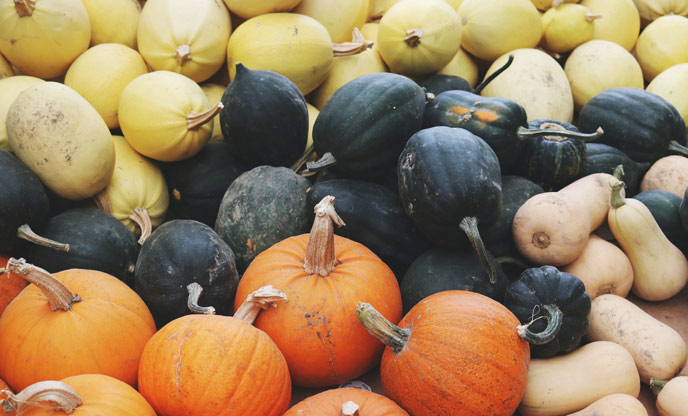 An array of seasonal pumpkins and vegetables