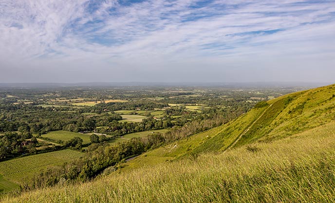 Views over rolling countryside and sun-soaked vineyards from Ditchling Beacon