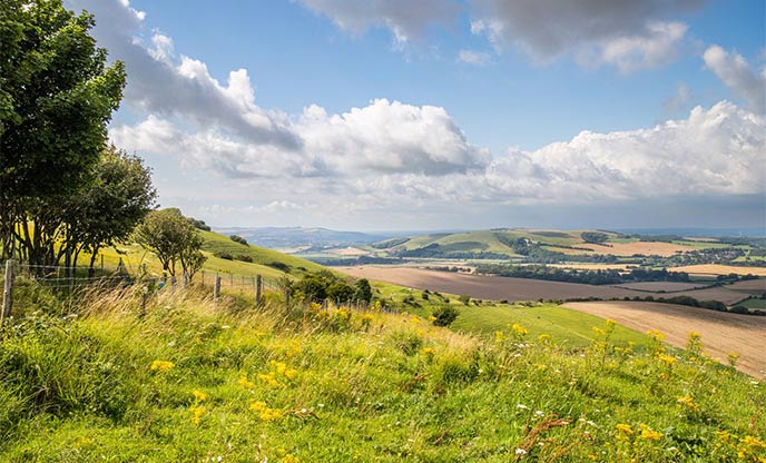 Rolling hills and glorious sunshine at South Downs National Park