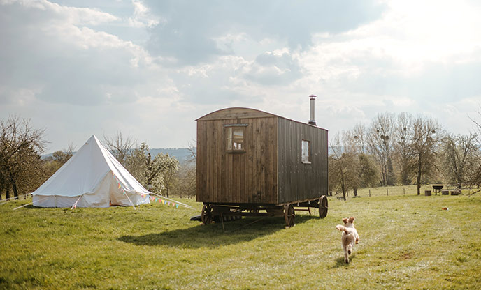 Shepherds hut and bell tent in Herefordshire
