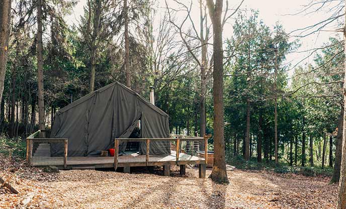 The green safari tent at The Hideout in Herefordshire, surrounded by trees