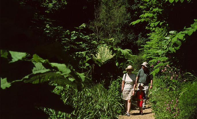 A couple walking through the incredible greenery at Shanklin Chine on the Isle of Wight