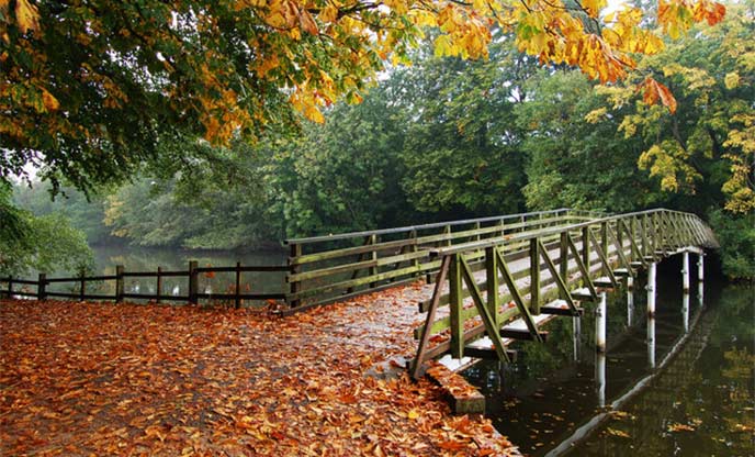 Autumnal woodland setting with a bridge crossing a river