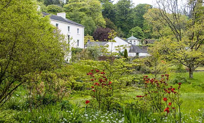 Lush green gardens surrounding house at Colby Woodland Gardens 