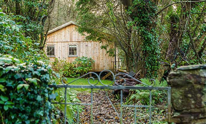Woodland cabin nestled amongst the trees in Pembrokeshire