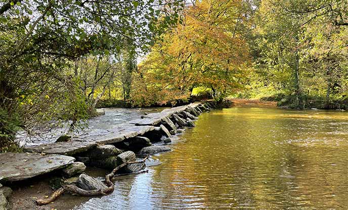 Autumnal leaves encompasses stepping stones over a flowing stream in Exmoor National Park